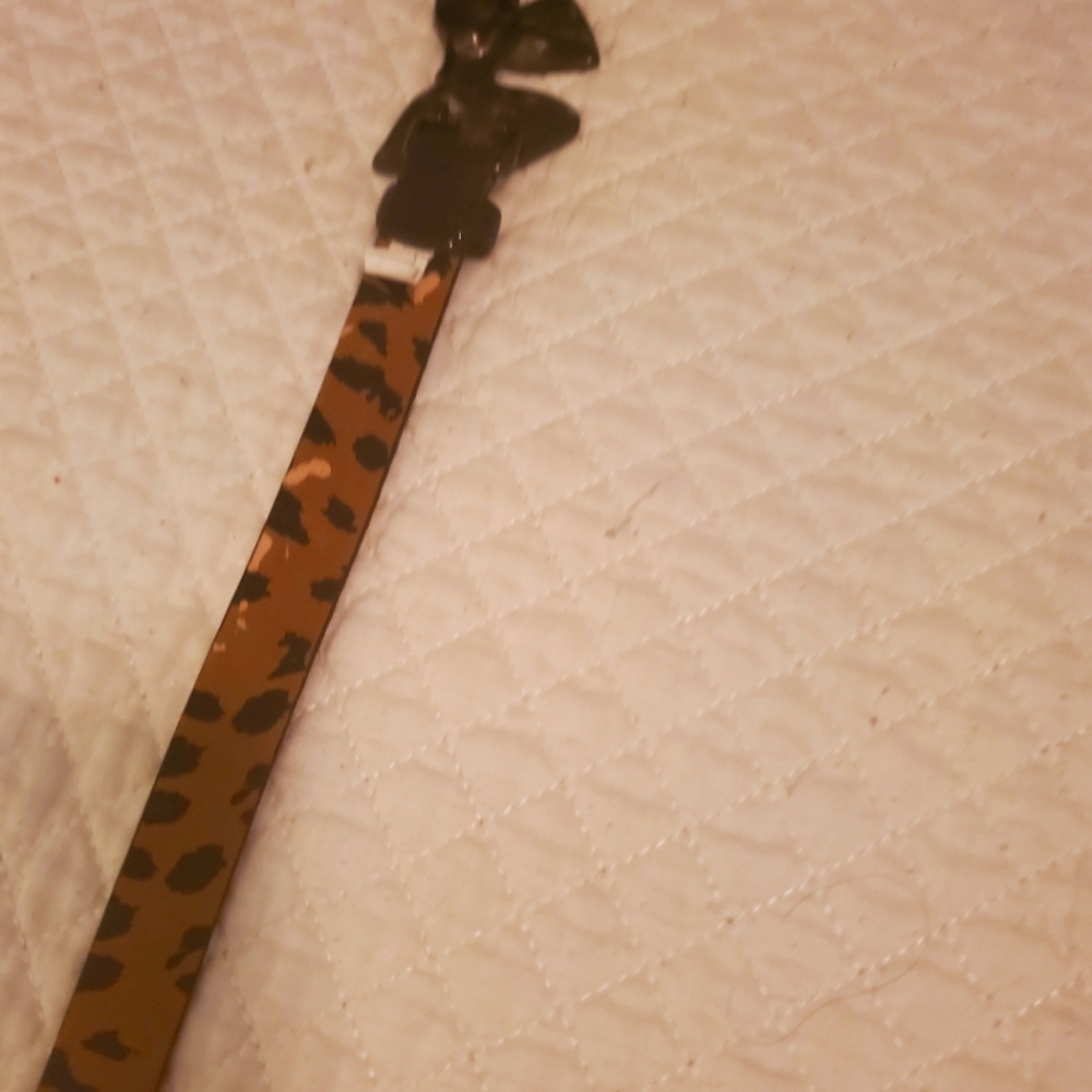 Belt